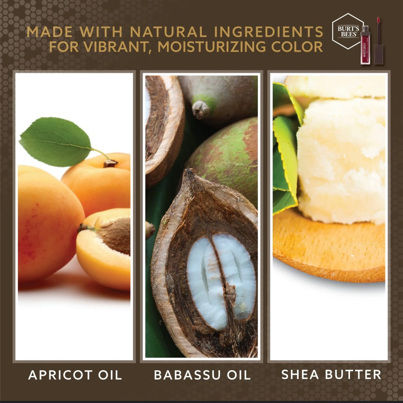 Burt’s Bees All Natural Vegan Liquid Lipstick w/ Apricot Babacu Oil